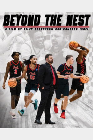 Beyond The Nest Beyond The Nest