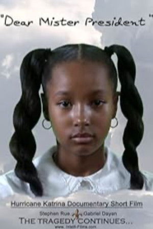 Dear Mister President Dear Mister President