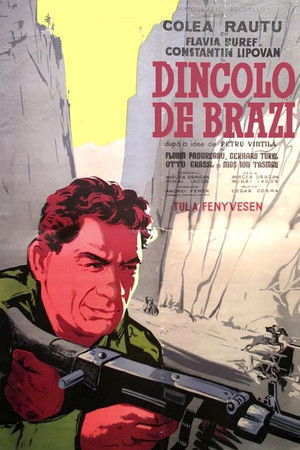 Beyond the Fir Trees Beyond the Fir Trees