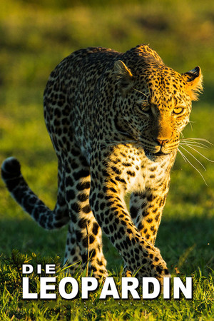 The Leopardess The Leopardess