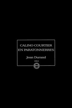 Calino courtier en paratonnerres