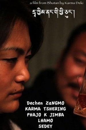 Birds in Cages Birds in Cages