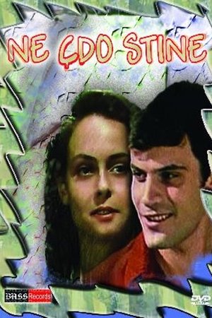 In Every Season In Every Season