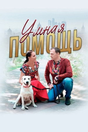 Smart Help Smart Help