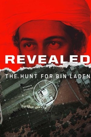 Revealed The hunt for Bin Laden