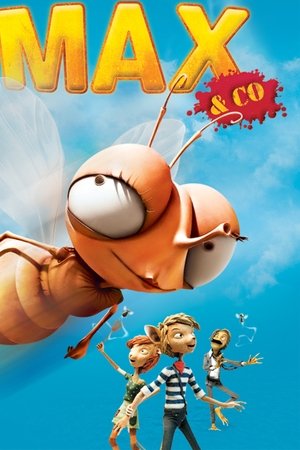 Max & Co Max & Co