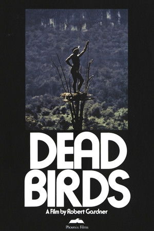 Dead Birds Dead Birds