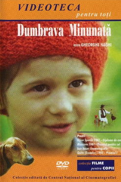 The Enchanted Grove The Enchanted Grove