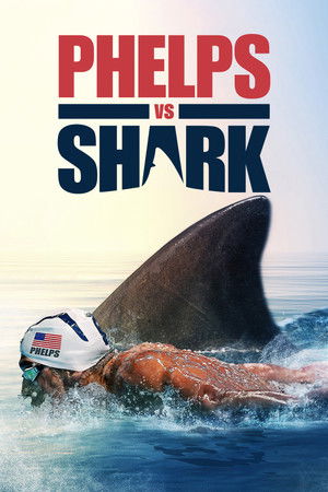 Phelps vs Shark Phelps vs Shark