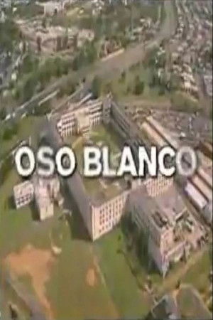 Oso Blanco Oso Blanco