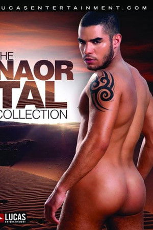 The Naor Tal Collection The Naor Tal Collection