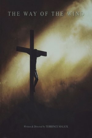 The Way of the Wind The Way of the Wind