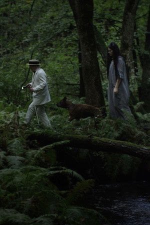 The Music Box The Music Box