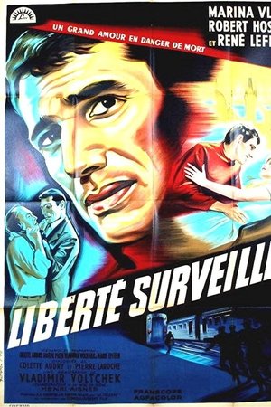 Provisional Liberty Provisional Liberty