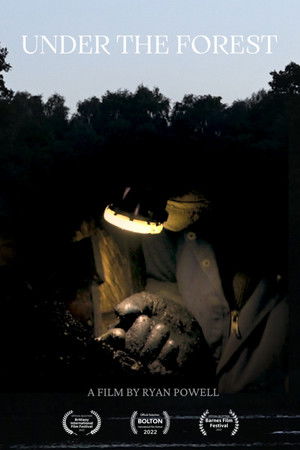 Under the Forest Under the Forest