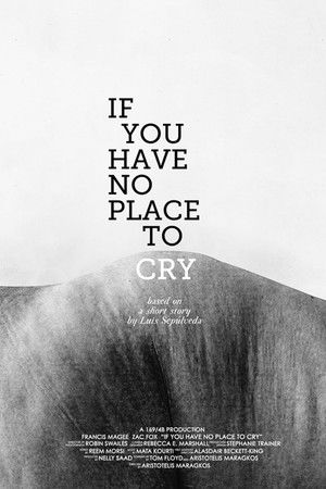 If You Have No Place to Cry If You Have No Place to Cry