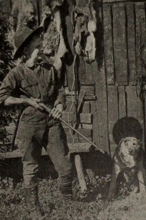 Outwitting the Timber Wolf