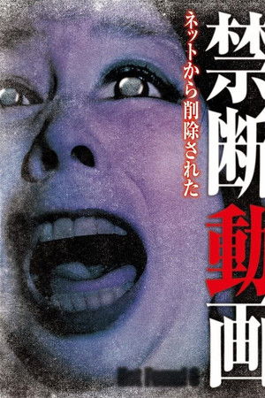 Not Found 6 Not Found 6