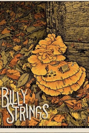 Billy Strings | 2022.11.09 — Blue Cross Arena - Rochester, NY Billy Strings | 2022.11.09 — Blue Cross Arena - Rochester, NY