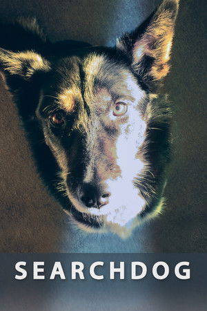 Searchdog Searchdog