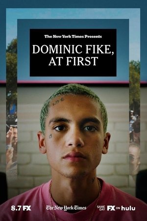 Dominic Fike, At First Dominic Fike, At First