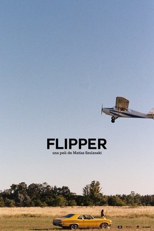 Flipper