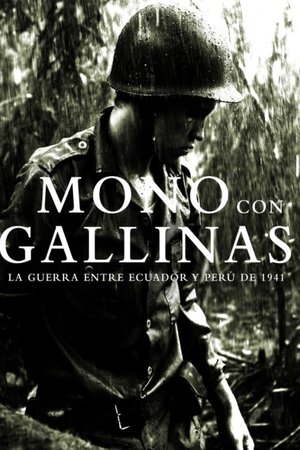 Open Wound Open Wound