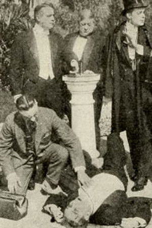 The Spider and Her Web The Spider and Her Web