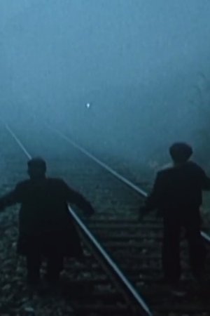 Foundations Foundations