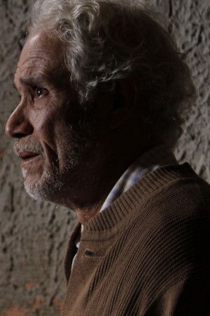 4 O'clock Flowers 4 O'clock Flowers