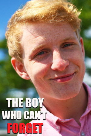 The Boy Who Can't Forget The Boy Who Can't Forget