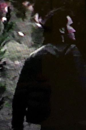 Vegetables Vegetables