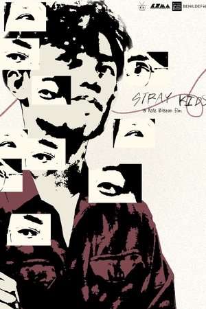 Stray Kids Stray Kids