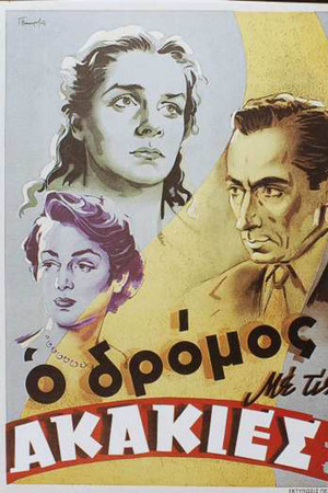 The Acacia Road The Acacia Road