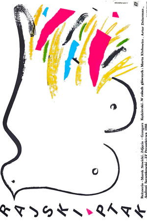 Rajski ptak Rajski ptak