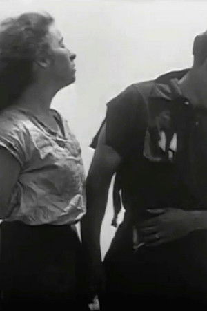 The Signal Fire The Signal Fire