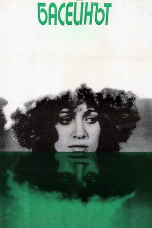 The Swimming Pool The Swimming Pool