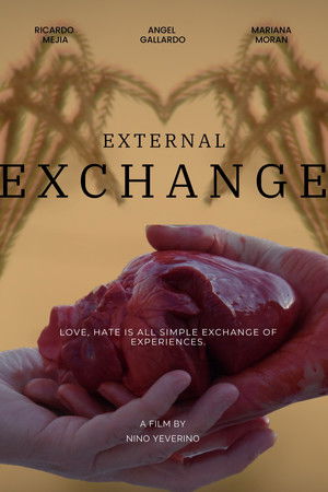 External Exchange External Exchange