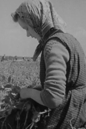 Over de jaargetijden heen