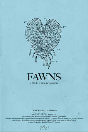 Fawns Fawns