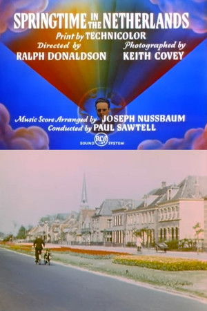 Springtime in the Netherlands Springtime in the Netherlands