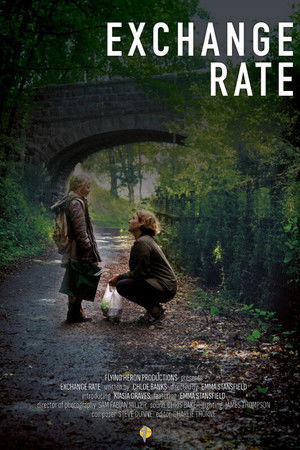 Exchange Rate Exchange Rate