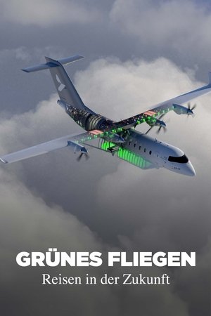 Grünes Fliegen - Reisen in der Zukunft Grünes Fliegen - Reisen in der Zukunft