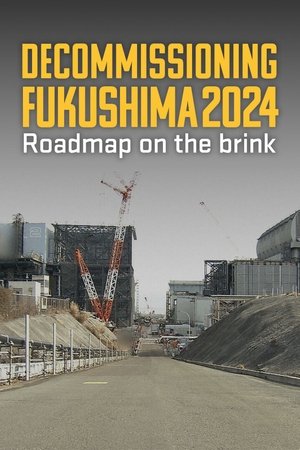 Decommissioning Fukushima 2024: Roadmap on the Brink Decommissioning Fukushima 2024: Roadmap on the Brink