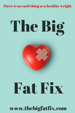 The Big Fat Fix The Big Fat Fix