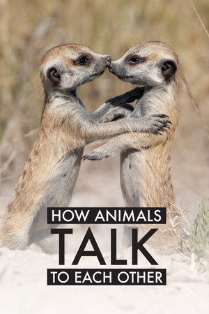 How Animals Talk To Each Other How Animals Talk To Each Other