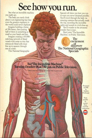 The Incredible Machine The Incredible Machine