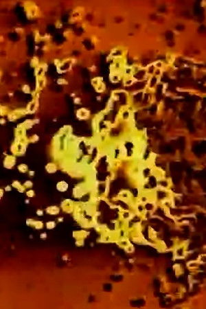 High Voltage High Voltage