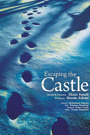 Escaping the Castle Escaping the Castle