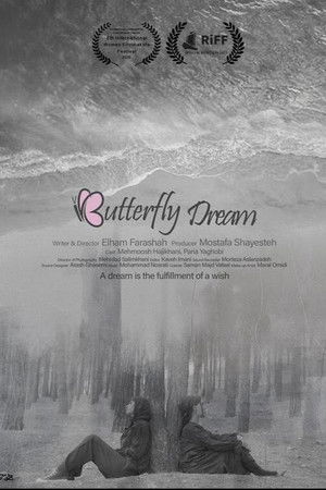 Butterfly Dream Butterfly Dream